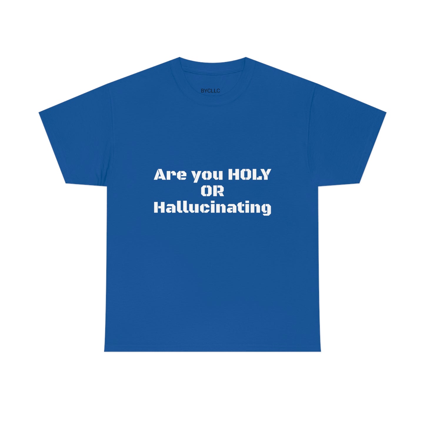 Unisex Heavy(Holy or Hallucinating)