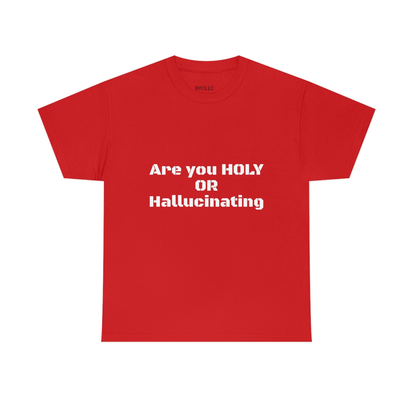 Unisex Heavy(Holy or Hallucinating)